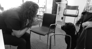 A guide dog takes a break from duties to say hi to Shawn Henry